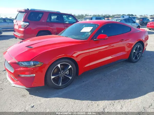 1FA6P8TH6K5187441 2019 FORD MUSTANG - Image 2