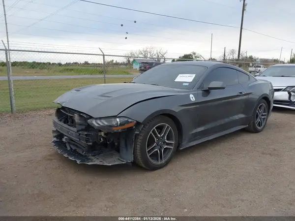 1FA6P8TH6K5190002 2019 FORD MUSTANG - Image 2