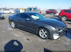 1FA6P8TH6K5191442 2019 FORD MUSTANG