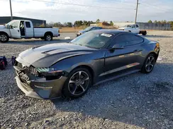 1FA6P8TH6K5191568 2019 FORD MUSTANG