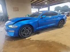 1FA6P8TH6K5195569 2019 FORD MUSTANG