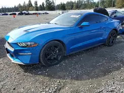 1FA6P8TH6K5197872 2019 FORD MUSTANG