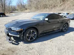 1FA6P8TH6K5198830 2019 FORD MUSTANG