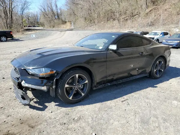 1FA6P8TH6K5198830 2019 FORD MUSTANG - Image 1
