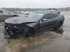 1FA6P8TH6K5200558 2019 FORD MUSTANG