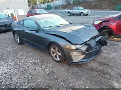 1FA6P8TH6K5200785 2019 FORD MUSTANG