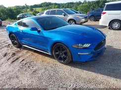 1FA6P8TH6K5202052 2019 FORD MUSTANG
