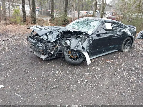 1FA6P8TH6K5205467 2019 FORD MUSTANG - Image 2