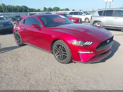 1FA6P8TH6K5205498 2019 FORD MUSTANG