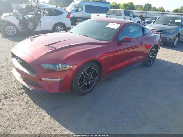 1FA6P8TH6K5205498 2019 FORD MUSTANG - Image 2