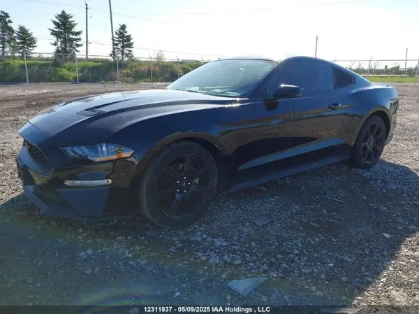 1FA6P8TH6L5152691 2020 FORD MUSTANG - Image 2