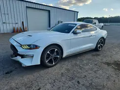 1FA6P8TH6M5132975 2021 FORD MUSTANG