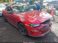 1FA6P8TH6N5110427 2022 FORD MUSTANG