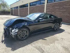 1FA6P8TH6P5108356 2023 FORD MUSTANG