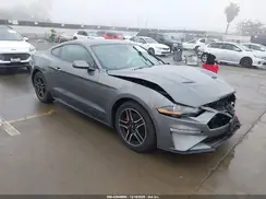 1FA6P8TH6P5109538 2023 FORD MUSTANG