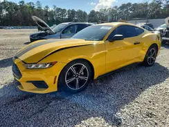 1FA6P8TH6R5100728 2024 FORD MUSTANG