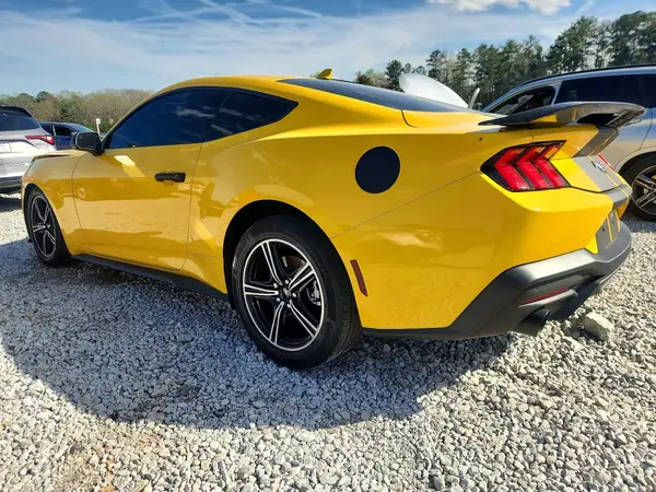 1FA6P8TH6R5100728 2024 FORD MUSTANG - Image 2
