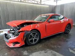 1FA6P8TH6R5106562 2024 FORD MUSTANG