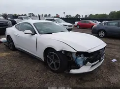1FA6P8TH6R5107324 2024 FORD MUSTANG
