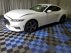 1FA6P8TH6R5107372 2024 FORD MUSTANG