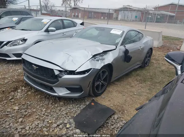 1FA6P8TH6R5108215 2024 FORD MUSTANG - Image 2