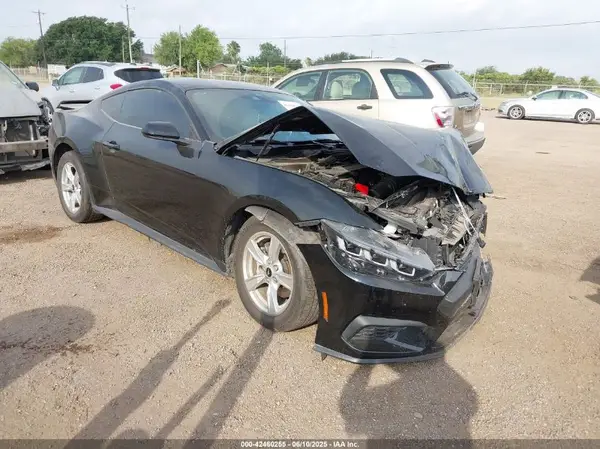 1FA6P8TH6R5109204 2024 FORD MUSTANG - Image 1