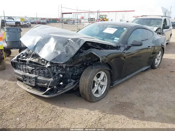 1FA6P8TH6R5109204 2024 FORD MUSTANG - Image 2