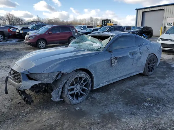 1FA6P8TH6R5110367 2024 FORD MUSTANG - Image 1