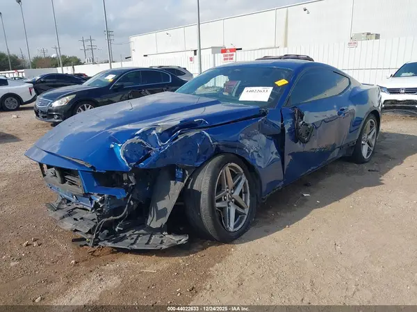 1FA6P8TH6R5111955 2024 FORD MUSTANG - Image 2
