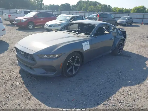 1FA6P8TH6R5112247 2024 FORD MUSTANG - Image 2