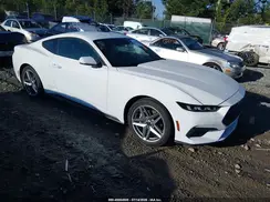 1FA6P8TH6R5113446 2024 FORD MUSTANG