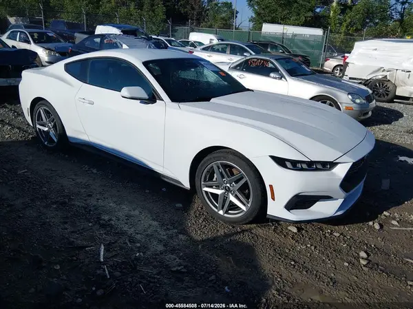 1FA6P8TH6R5113446 2024 FORD MUSTANG - Image 1
