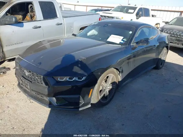 1FA6P8TH6R5117691 2024 FORD MUSTANG - Image 2