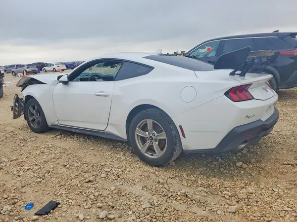 1FA6P8TH6R5118369 2024 FORD MUSTANG - Image 2