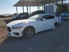 1FA6P8TH6R5121627 2024 FORD MUSTANG