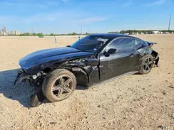 1FA6P8TH6R5122549 2024 FORD MUSTANG