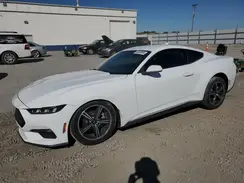 1FA6P8TH6R5134331 2024 FORD MUSTANG