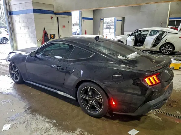 1FA6P8TH6R5136709 2024 FORD MUSTANG - Image 2