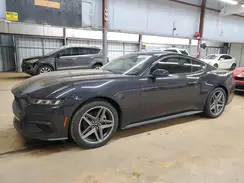 1FA6P8TH6R5139819 2024 FORD MUSTANG