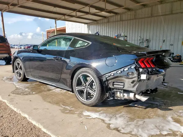 1FA6P8TH6R5141327 2024 FORD MUSTANG - Image 2