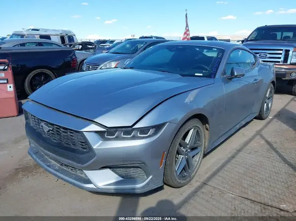 1FA6P8TH6R5141604 2024 FORD MUSTANG - Image 2