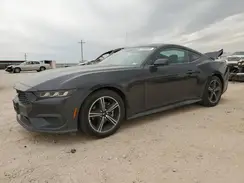 1FA6P8TH6R5141716 2024 FORD MUSTANG