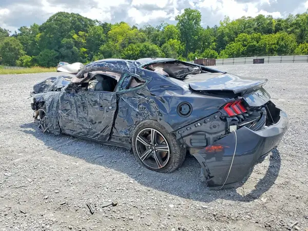 1FA6P8TH6R5143465 2024 FORD MUSTANG - Image 2