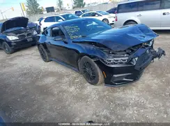 1FA6P8TH6R5146043 2024 FORD MUSTANG