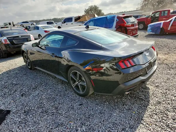 1FA6P8TH6S5119317 2025 FORD MUSTANG - Image 2