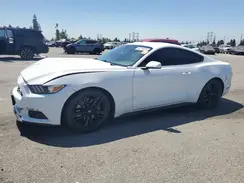 1FA6P8TH7G5209356 2016 FORD MUSTANG