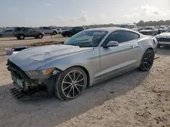 1FA6P8TH7G5230160 2016 FORD MUSTANG
