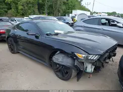 1FA6P8TH7G5235407 2016 FORD MUSTANG