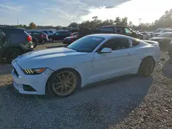 1FA6P8TH7G5241014 2016 FORD MUSTANG