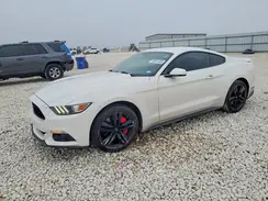 1FA6P8TH7H5203798 2017 FORD MUSTANG